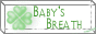 +Baby's Breath+